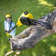 Best Artificial Turf Installation  in Belfair, WA